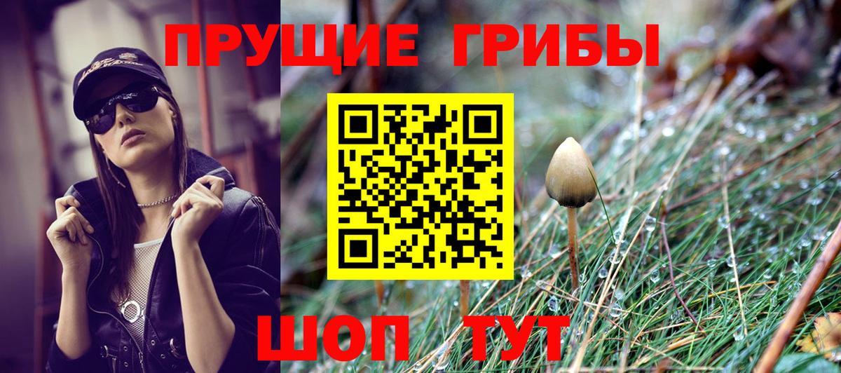 Мариинск  Псилоцибиновые грибы Psilocybe  Вход с VPN 